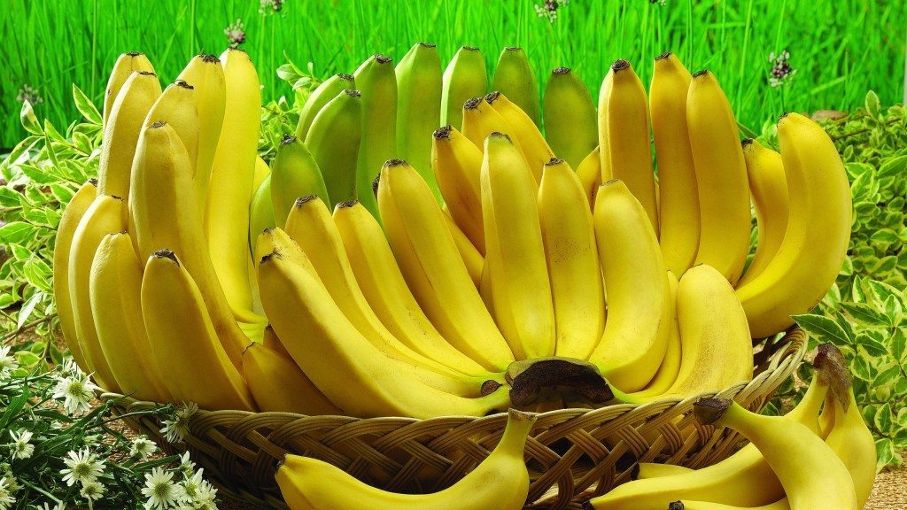 bananas_bunch_food_basket_fruit_91935_2048x1152